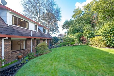 Photo of property in 2 Chestnut Court, Havelock North, 4130