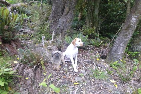 Photo of property in 26 Lookout Drive, Little Valley, Alexandra, 9320