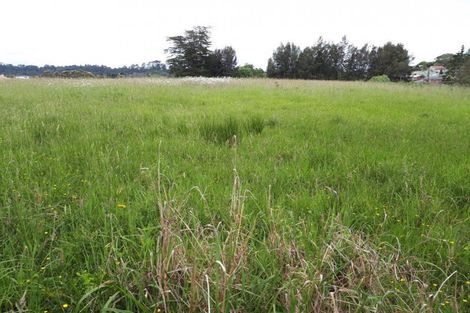 Photo of property in 43 Candia Road, Swanson, Auckland, 0614