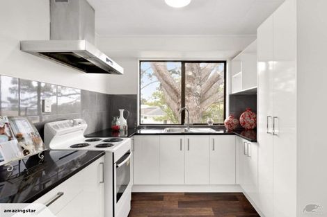 Photo of property in 25a Marion Avenue, Mount Roskill, Auckland, 1041