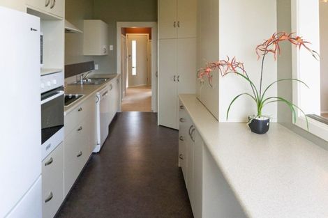 Photo of property in 55 Elgin Road, Mornington, Dunedin, 9011