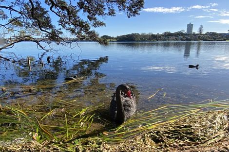 Photo of property in 278 Hurstmere Road, Takapuna, Auckland, 0622