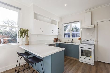 Photo of property in 14 Delamaine Street, Hinds, Ashburton, 7775