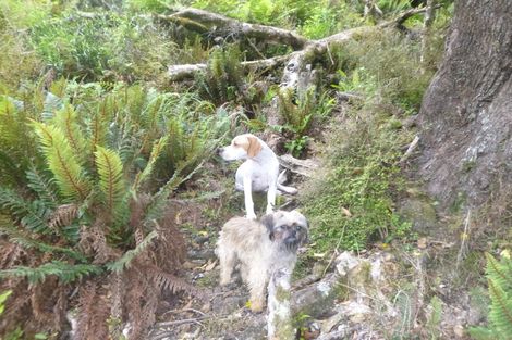 Photo of property in 26 Lookout Drive, Little Valley, Alexandra, 9320