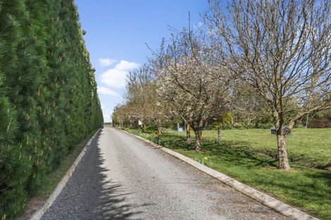 Photo of property in 1285 Woodfields Road, Cust, Rangiora, 7475