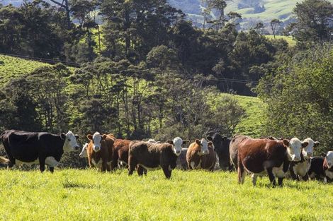 Photo of property in 167 Anderson Road, Helensville, 0875