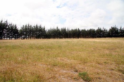 Photo of property in 41 Mcmanus Road, Houhora, Kaitaia, 0484
