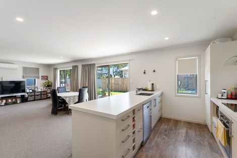 Photo of property in 12a Guy Avenue, Levin, 5510