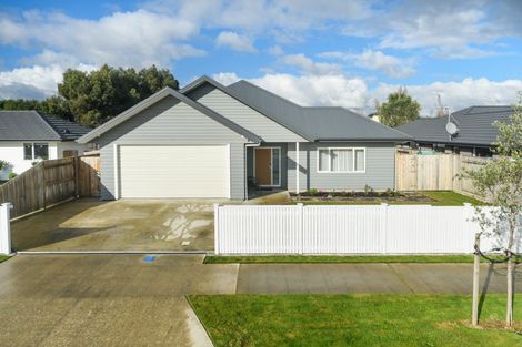 Photo of property in 31 Monarch Drive, Ashhurst, 4810