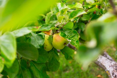 Photo of property in 19 Brough Street, Palmerston, 9430