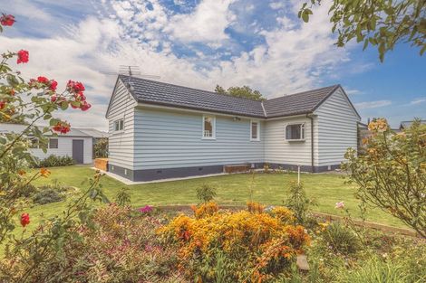 Photo of property in 25 Derrett Place, Saint Martins, Christchurch, 8022