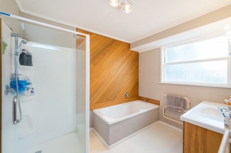 Photo of property in 145 Stanford Street North, Ashhurst, 4810