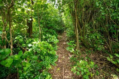 Photo of property in 127 Heke Street, Ngaio, Wellington, 6035