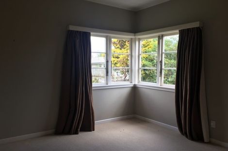 Photo of property in 15 Anglesea Street, Hamilton Central, Hamilton, 3204