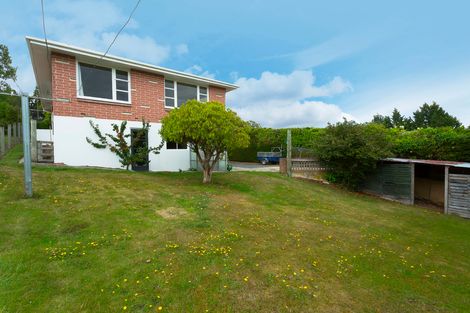 Photo of property in 19 Brough Street, Palmerston, 9430