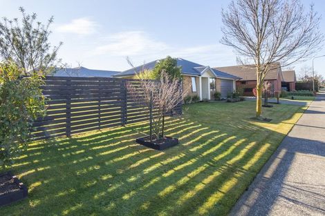 Photo of property in 58 Acacia Avenue, Rangiora, 7400