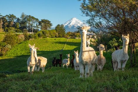Photo of property in 10 Allan Road, Burgess Park, New Plymouth, 4371