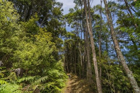 Photo of property in 1959 The 309 Road, Kaimarama, Whitianga, 3591
