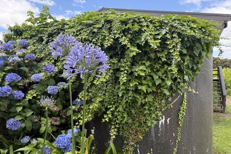 Photo of property in 9 Grey Street East, Mangonui, 0420