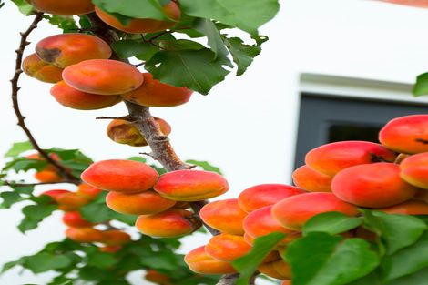 Photo of property in 19 Brough Street, Palmerston, 9430