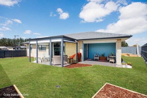 Photo of property in 10 Kereru Street, Marton, 4710