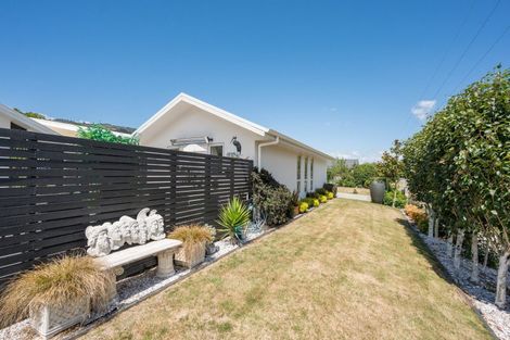 Photo of property in 29 Hill Street North, Richmond, 7020