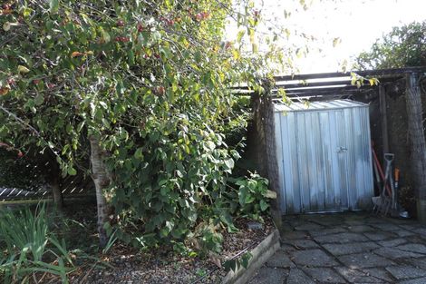 Photo of property in 6 Sharp Place, Matamata, 3400