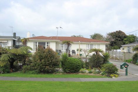 Photo of property in 97 Kawiu Road, Levin, 5510