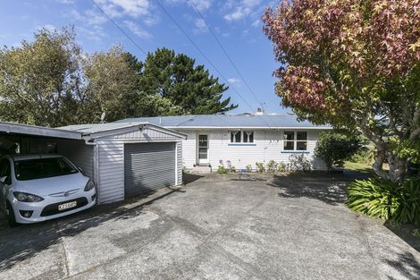 Photo of property in 38 Davidson Crescent, Tawa, Wellington, 5028