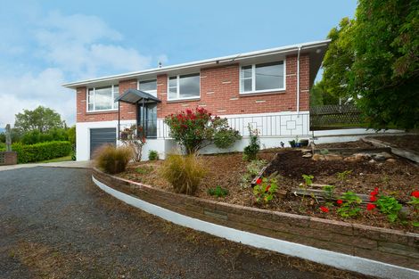 Photo of property in 19 Brough Street, Palmerston, 9430