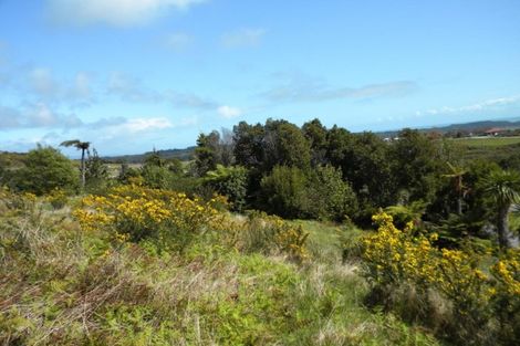 Photo of property in 2 Middle Paddock, Blue Spur, Hokitika, 7882