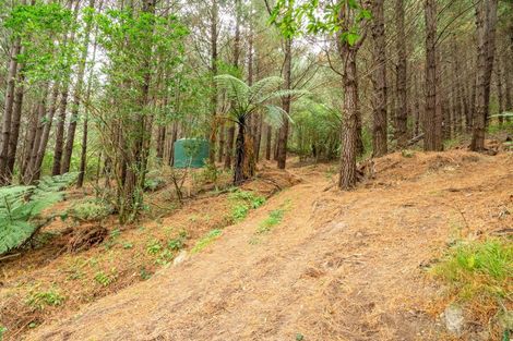 Photo of property in 90 Hoeke Road, Carrington, Carterton, 5791