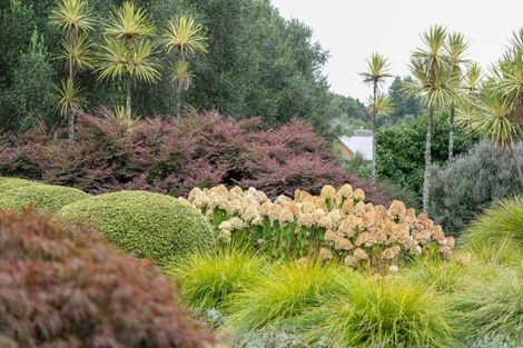 Photo of property in 37 Ryvington Lane, Tamahere, Hamilton, 3283