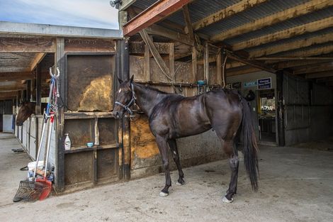 Photo of property in 139 Harmans Road, Leeston, 7682