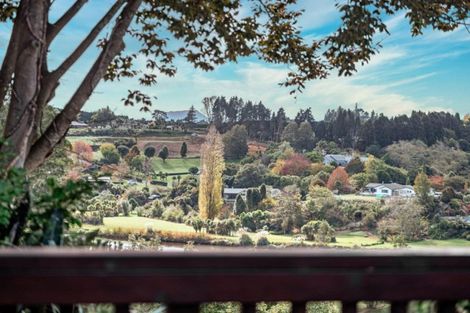 Photo of property in 97 Wairoa Road, Minden, Tauranga, 3171