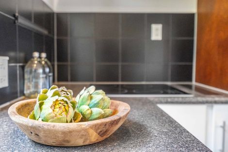 Photo of property in 42 Petrie Street, Richmond, Christchurch, 8013