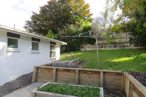 Photo of property in 29 Aurora Terrace, Hillcrest, Hamilton, 3216