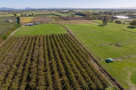 Photo of property in 503b Gordonton Road, Gordonton, Hamilton, 3281