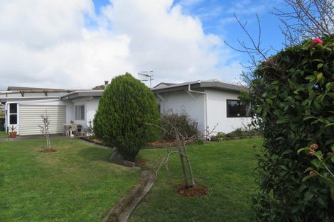 Photo of property in 16 Reeve Street, Foxton, 4814