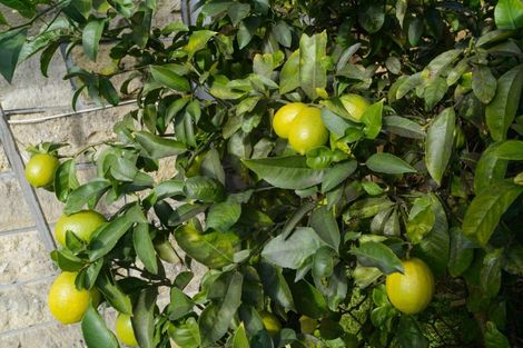 Photo of property in 45 Manapouri Crescent, Hokowhitu, Palmerston North, 4410