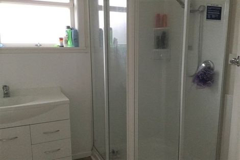 Photo of property in 16 Graham Street, Levin, 5510