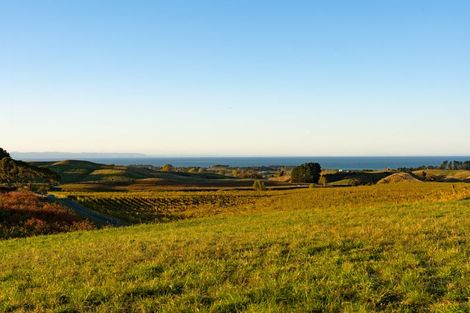 Photo of property in 86 Millar Road, Haumoana, Hastings, 4180