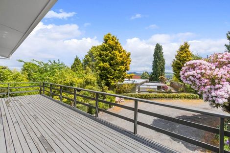 Photo of property in 63 Henry Hill Road, Taupo, 3330