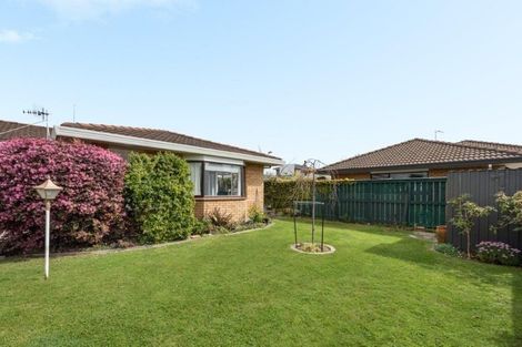 Photo of property in 49b Ridge Street, Otumoetai, Tauranga, 3110