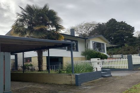 Photo of property in 12 Arney Street, Paeroa, 3600