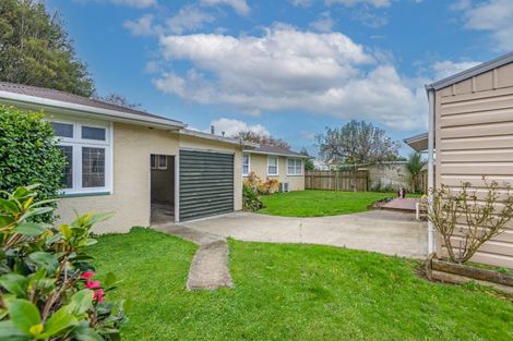 Photo of property in 49 Fox Street, Woodville, 4920