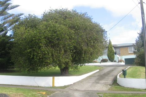 Photo of property in 83 King Street, Hikurangi, 0114