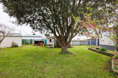 Photo of property in 24 Punga Street, Tangimoana, 4822