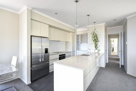 Photo of property in 14 Montecillo Lane, Mornington, Dunedin, 9011