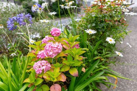 Photo of property in 343 Ohiro Road, Brooklyn, Wellington, 6021